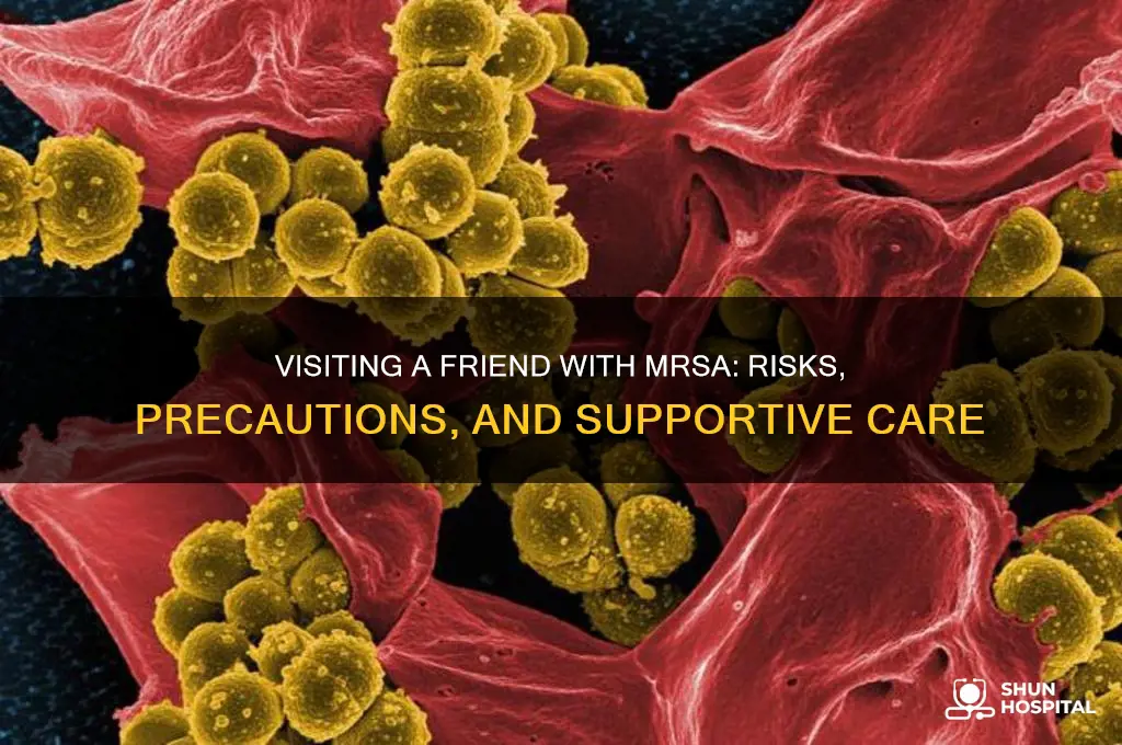 should i visit my friend with mrsa in the hospital