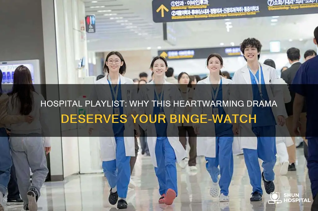 should i watch hospital playlist