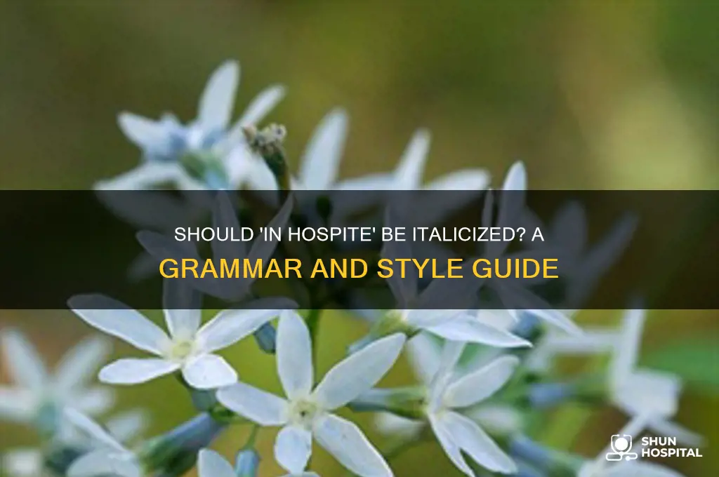 should in hospite be italicized