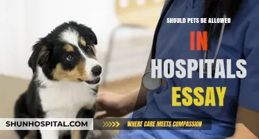 Pets in Hospitals: A Comforting or Disturbing Idea?