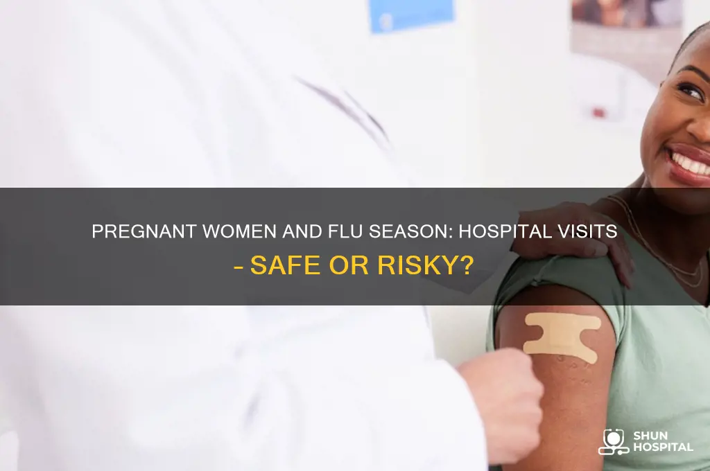 should pregnant women avoid visiting hospitals during flu season