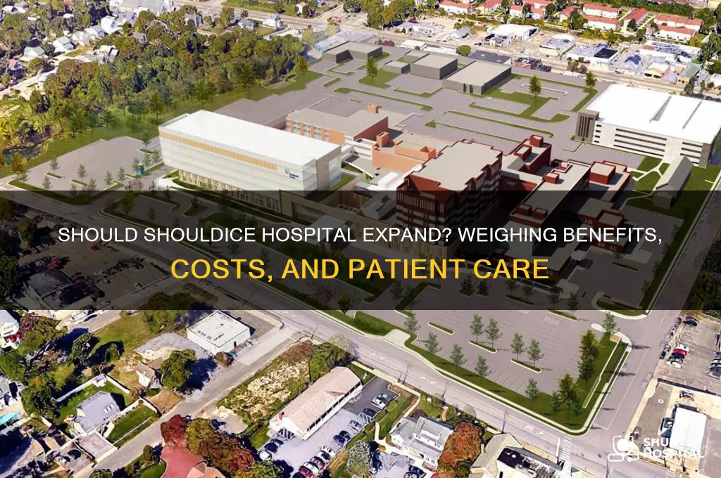 should shouldice hospital expand