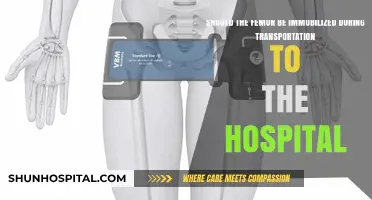 Immobilizing the Femur During Transport: Essential Precautions for Safe Care