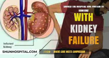 Protein in Kidney Failure: Hospital Nutrition Strategies and Risks