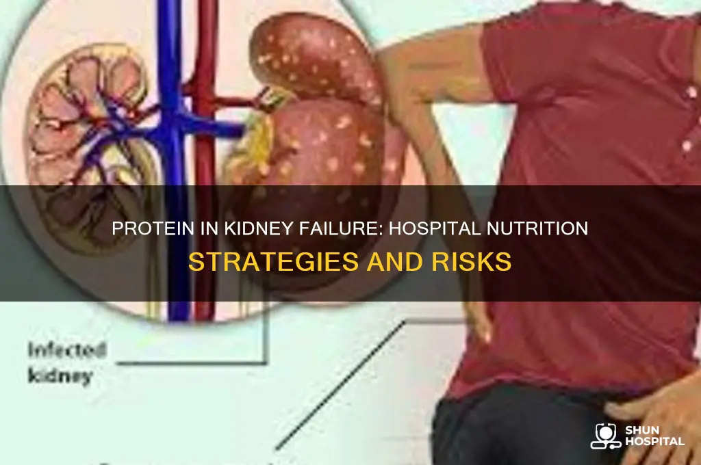 should the hospital give protein to someone with kidney failure