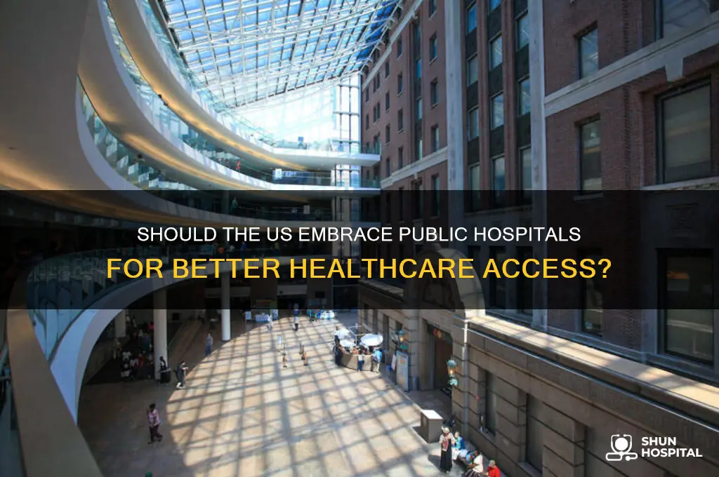should us allow public hospitals
