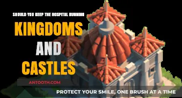 Balancing Kingdoms and Castles: Should Hospitals Remain Operational?