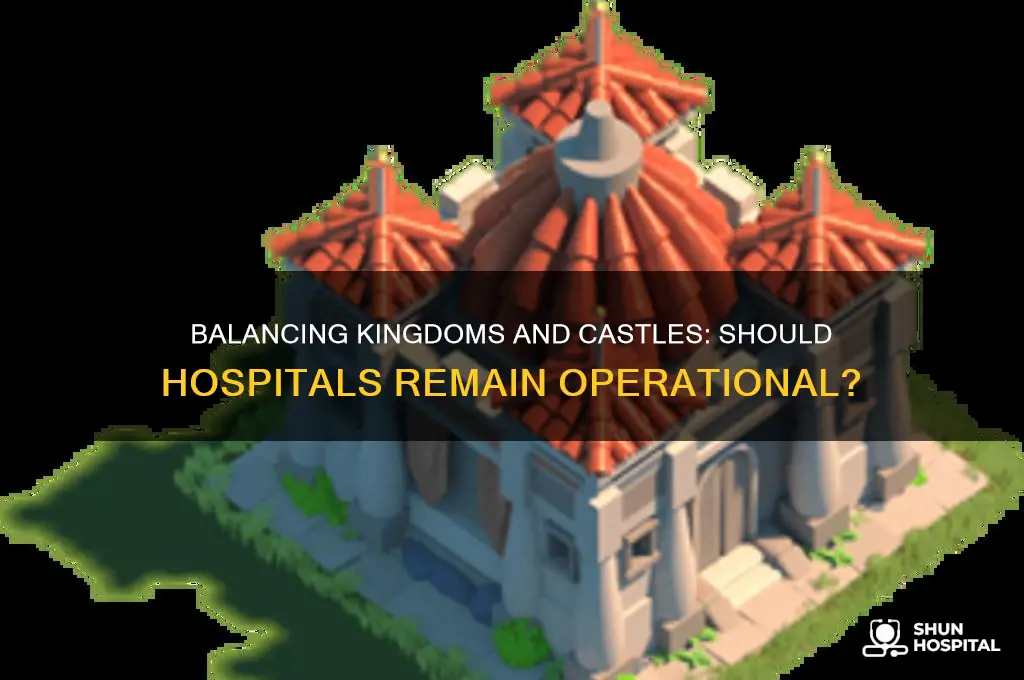should you keep the hospital running kingdoms and castles