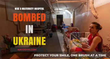 The Horror of Ukraine's Bombed Maternity Hospital