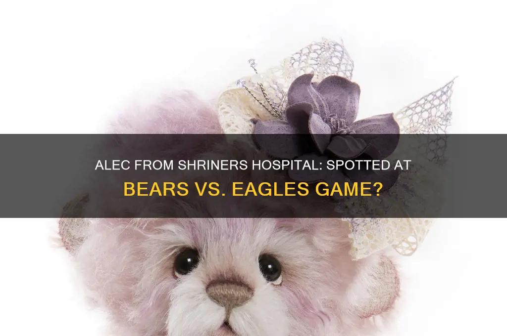was alec from shriners hospital at the bears eagles game