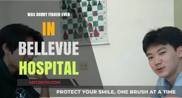Bobby Fischer's Bellevue Hospitalization: Fact or Fiction?