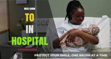 Born in the Hospital: Unveiling the Modern Birth Experience