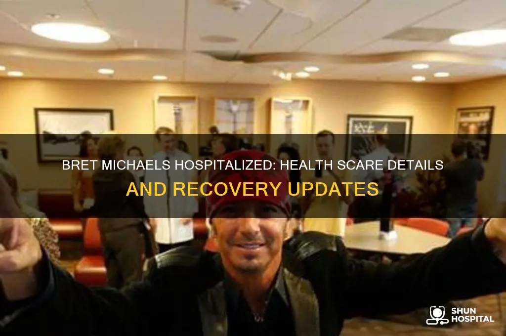 was bret michaels hospitalized