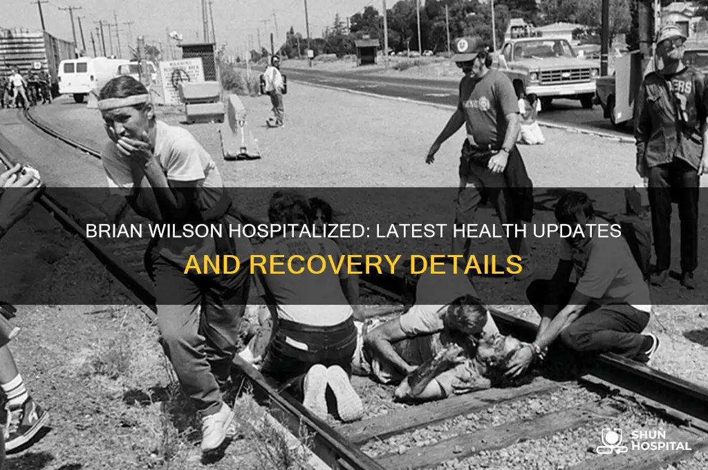 was brian wilson hospitalized
