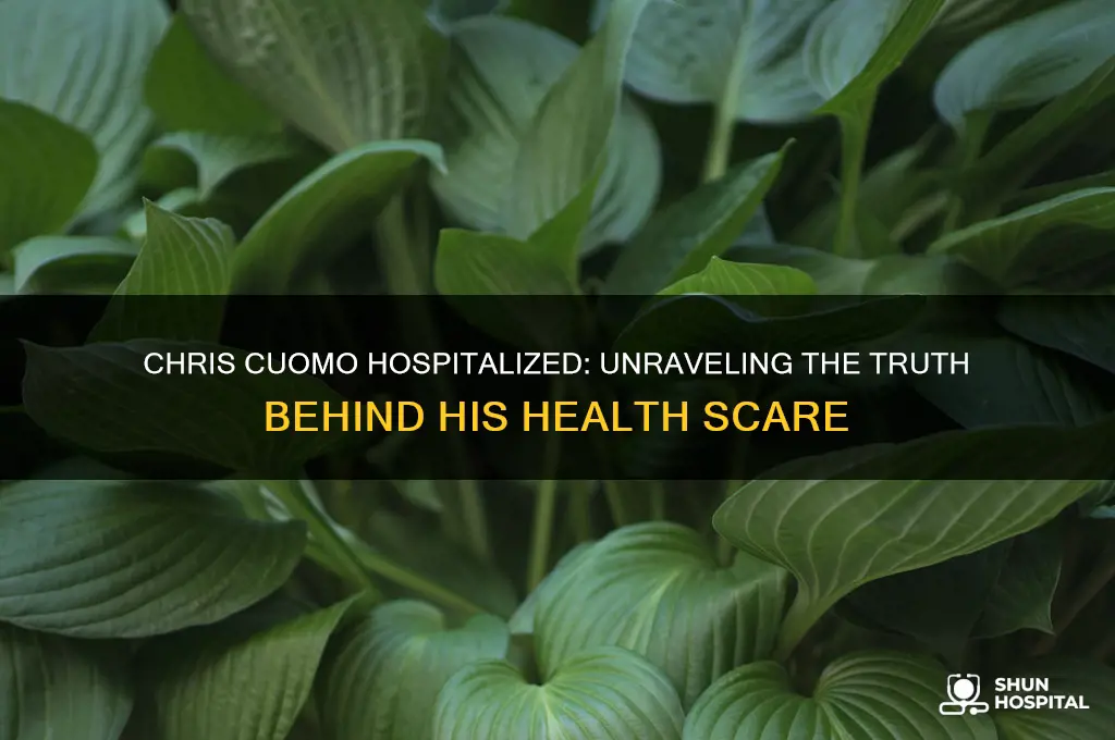 was chris cuomo hospitalized