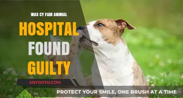 Cy Fair Animal Hospital: Guilty or Not?