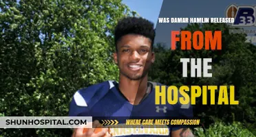 Hamlin Released from Hospital: What's Next for the Bills Player?