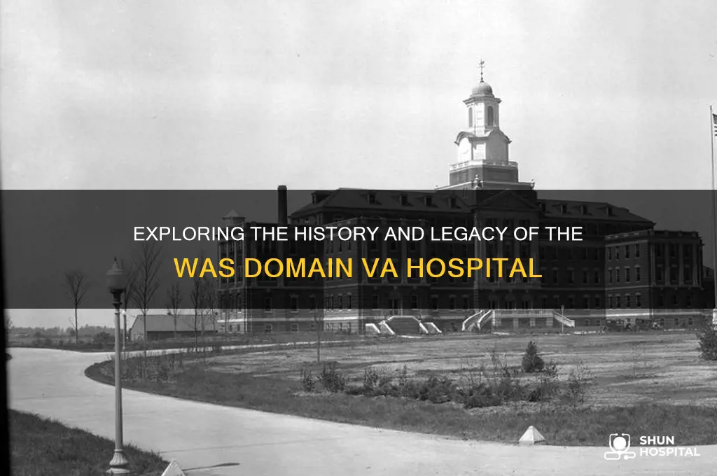 was domain va hospital