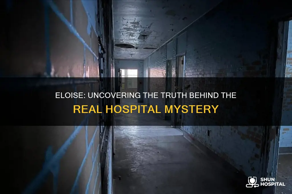 was eloise a real hospital