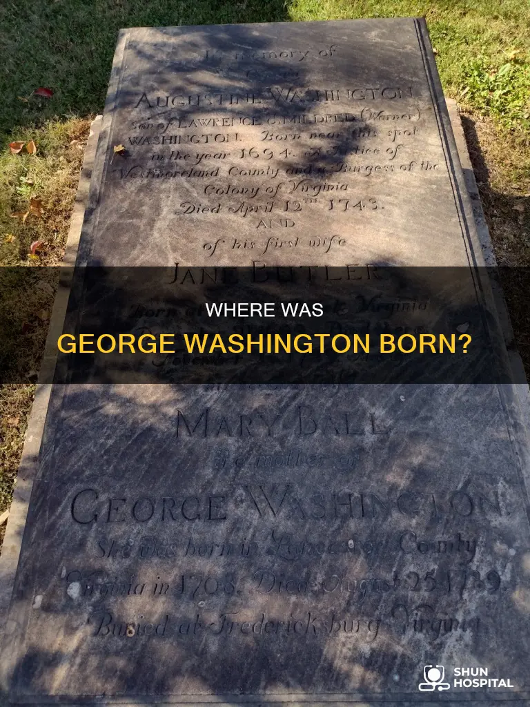 was gorge washington born in a hospital