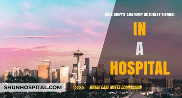 Grey's Anatomy: Fact vs. Fiction - Real Hospital Filming?