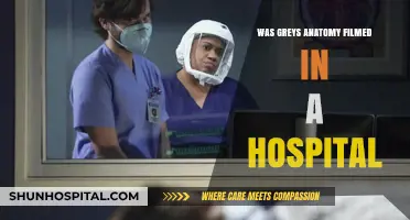 Grey's Anatomy: Real or Film Set Hospitals?