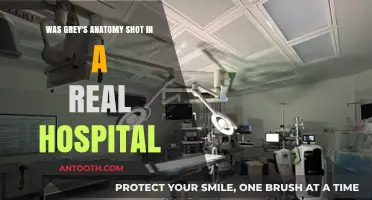 Was Grey's Anatomy Filmed in a Real Hospital? Uncovering the Truth