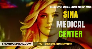 Kelly Clarkson's Birthplace: Was It Cedars-Sinai Medical Center?