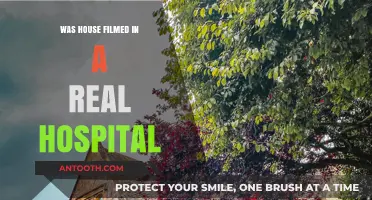 The Real Hospital in House: Fact or Fiction?