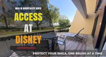 Disney's Magical Hospitality Suite Access Explained