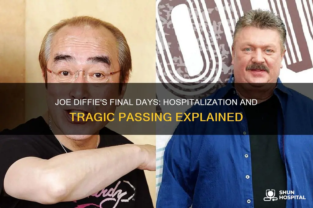 was joe diffie in the hospital when he died