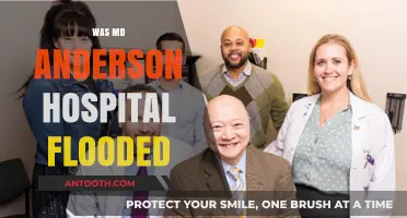 Was MD Anderson Hospital Flooded? Uncovering the Truth and Impact