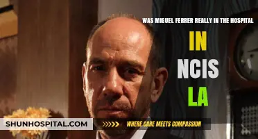 Was Miguel Ferrer Hospitalized During NCIS: LA Filming? Truth Revealed