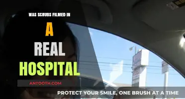 The Real Hospital in Scrubs: Myth or Reality?