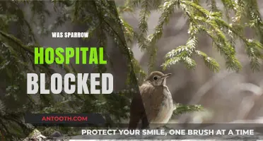 Was Sparrow Hospital Blocked? Unraveling the Truth Behind the Rumors