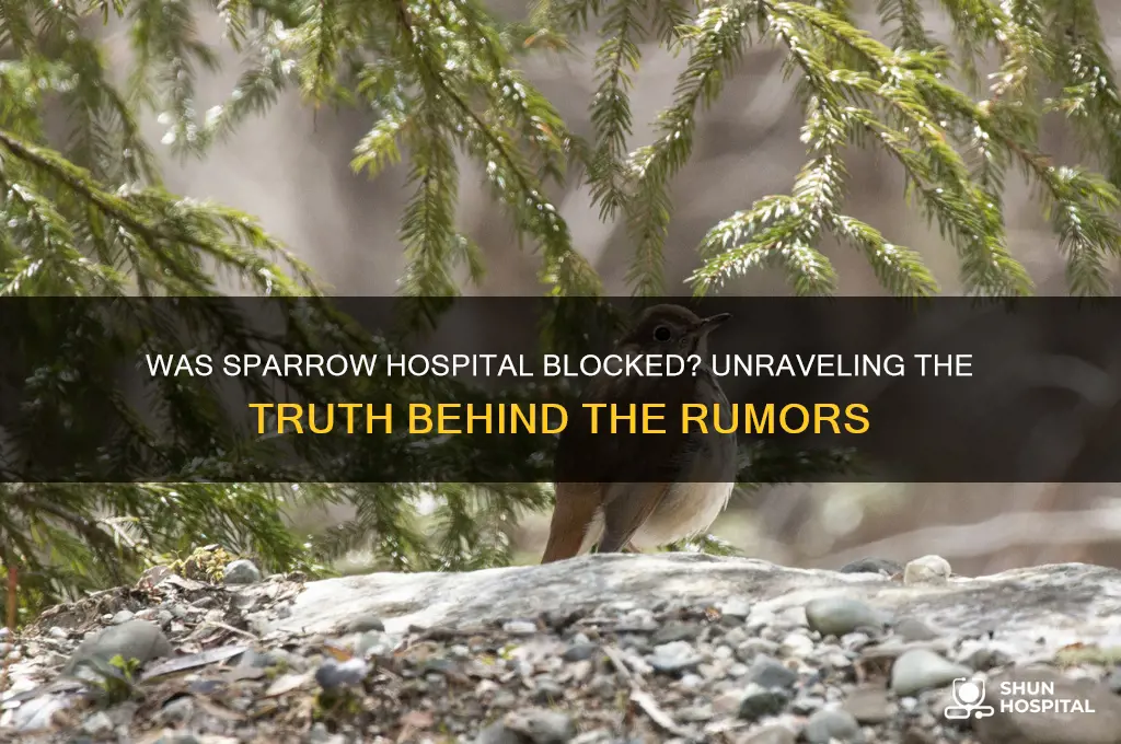 was sparrow hospital blocked