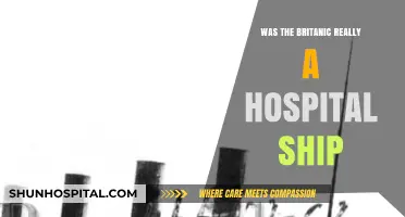 The Britannic: Hospital Ship or Not?