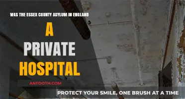 Was Essex County Asylum a Private Hospital in England?