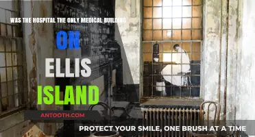 Ellis Island's Medical Facilities: Beyond the Hospital's Walls