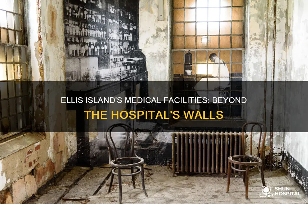 was the hospital the only medical building on ellis island