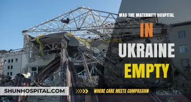 Ukraine Maternity Hospital: Empty or Full of Lies?