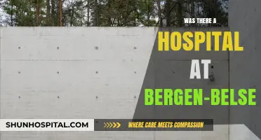 Bergen-Belsen: A Hospital or a Death Camp?