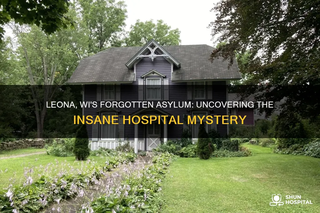 was there a hospital for th einsane in leona wi