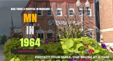 Exploring Wabasha, MN's Medical History: Hospital Presence in 1964