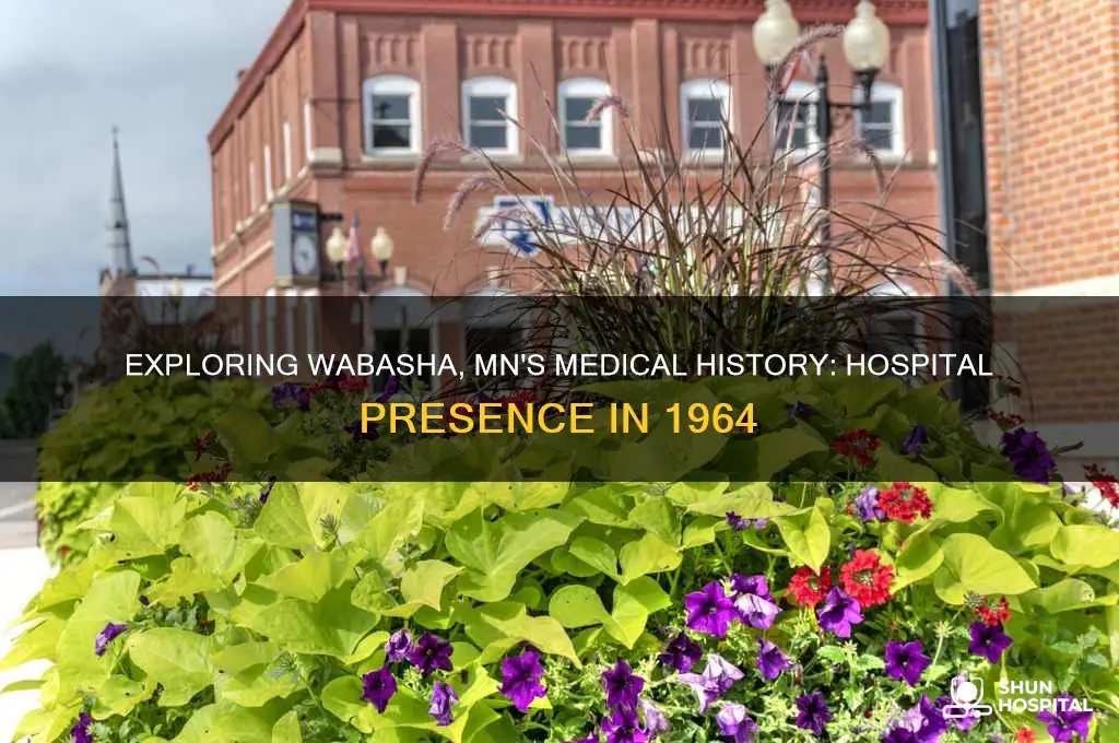 was there a hospital in wabasha mn in 1964