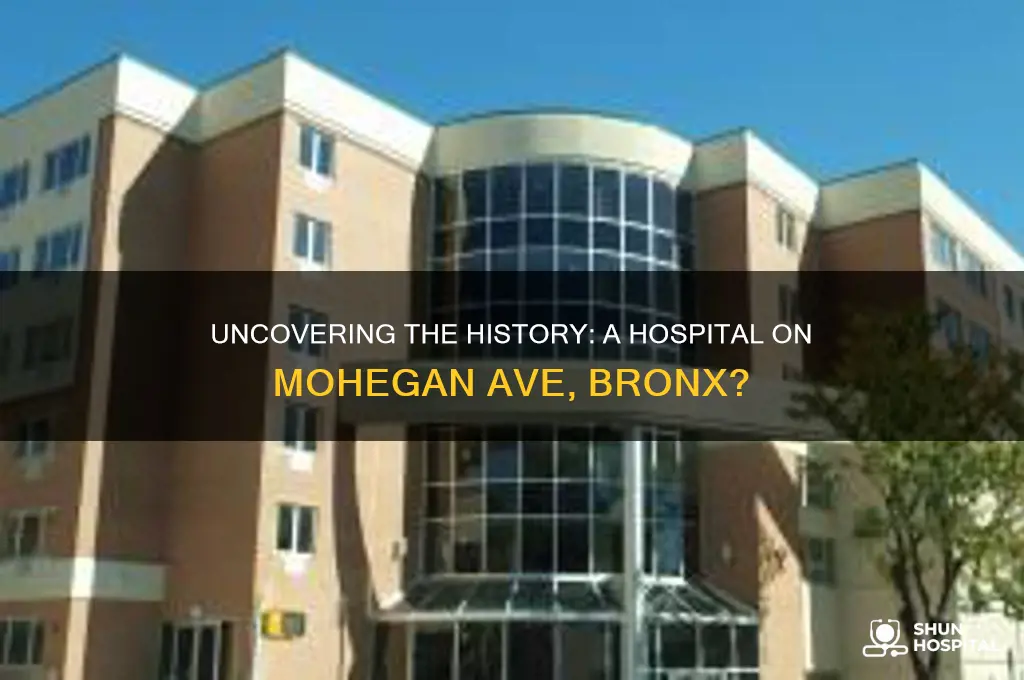 was there a hospital on mohegan ave in the bronx