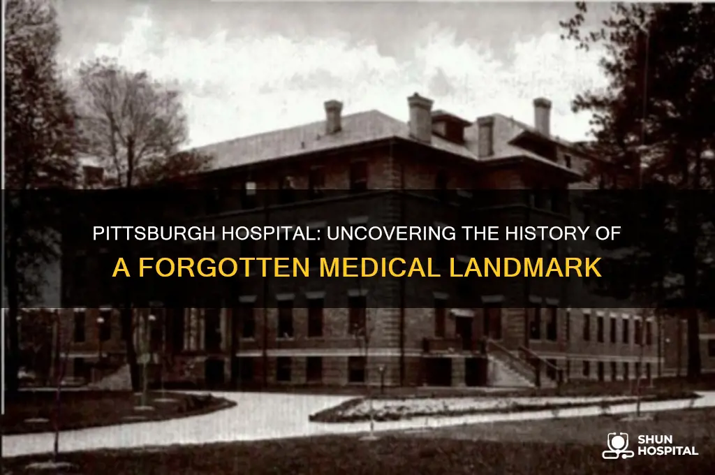 was there a hosptal in pittsburgh pa called pittsburgh hospital