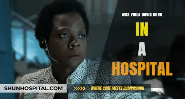 Viola Davis' Birth Story: Hospital or Home?