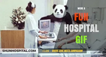 Bringing Joy to Healthcare: The Impact of a Fun Hospital GIF