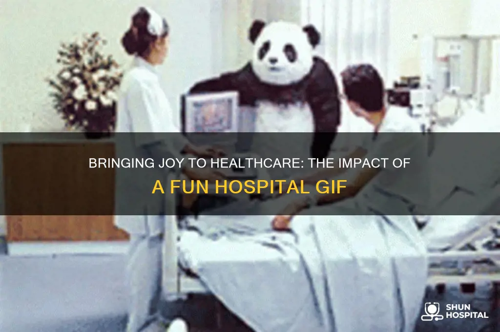 were a fun hospital gif